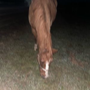 Meet your Posher, Jordyn